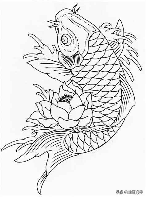 錦鯉畫|如何用鉛筆畫出錦鯉：魚類素描教學